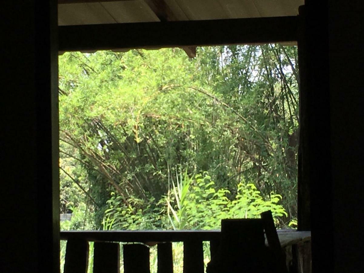 Chiang Dao Hostel Buitenkant foto